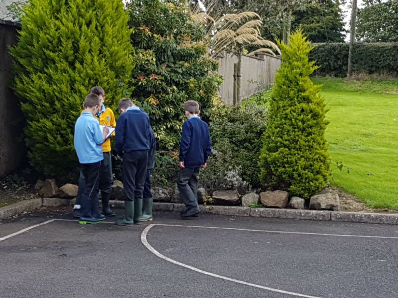 Working together - discussing colour