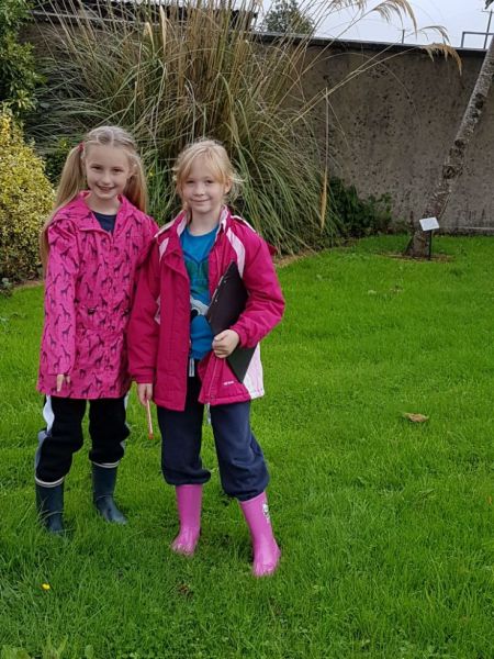 A yellow buttercup - good observation girls!